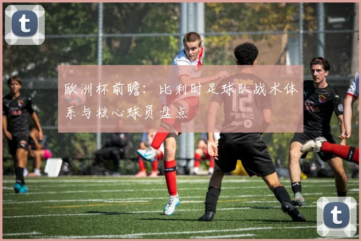 欧洲杯前瞻：比利时足球队战术体系与核心球员盘点